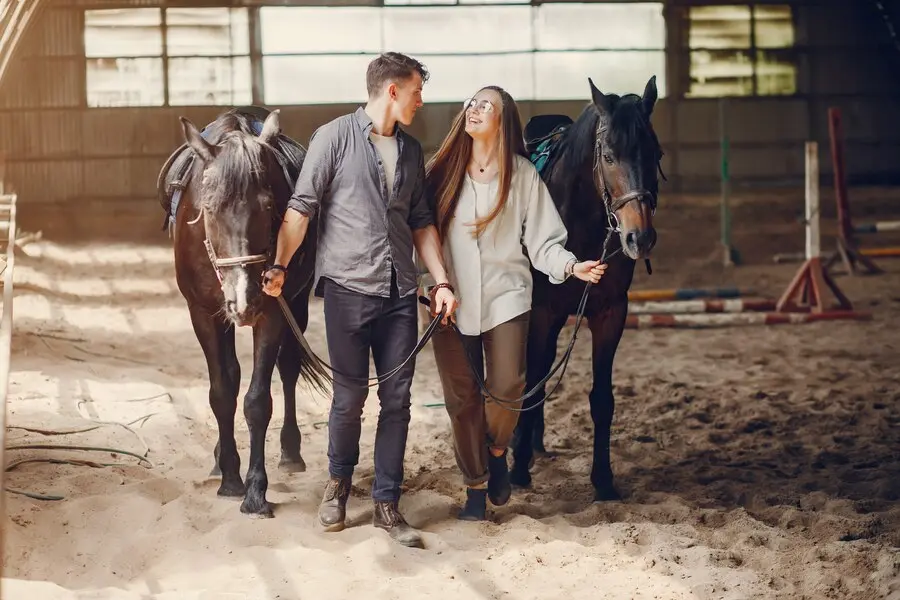 caballos pareja 