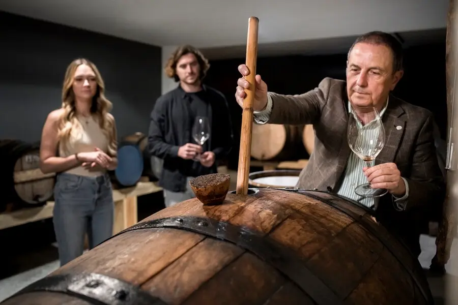 bodega hombre vino pareja cata